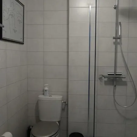 L&r Fontaine Apartment Gerardmer