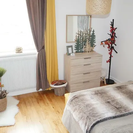 L&r Fontaine Apartment Gerardmer